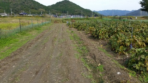 20161030_105444