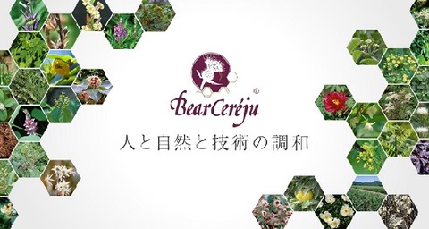 bearcereju