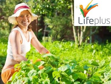 lifeplus 2