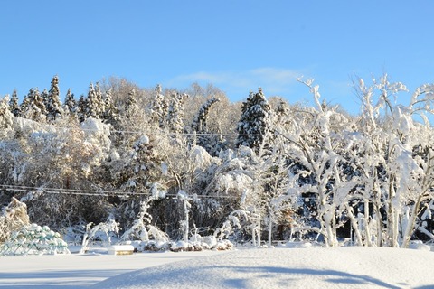 _写真 2014-02-09 7 56 58