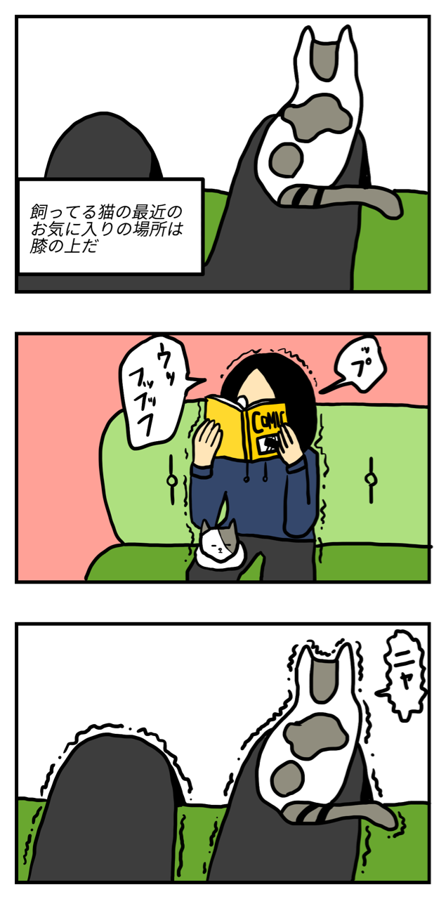 揃えた膝じゃなくて片方の膝に乗るタイプの猫 いくつになっても家が好き 揃えた膝じゃなくて片方の膝に乗るタイプの猫 いくつになっても家が好き