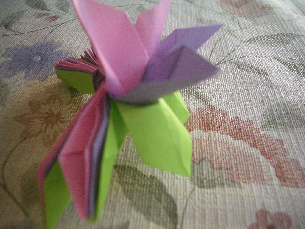 蓮の花の折り方 ホ ー ム メ ル