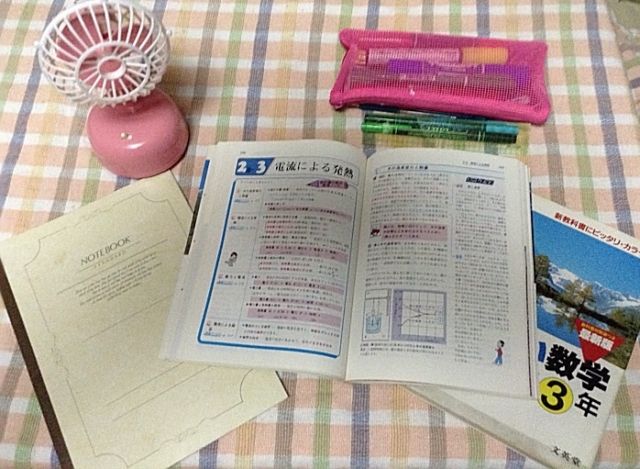 中学生 夏休みにするべきことは 学年別の勉強方法 上越の家庭教師ホームティーチャーズ 上越市 妙高市 糸魚川市
