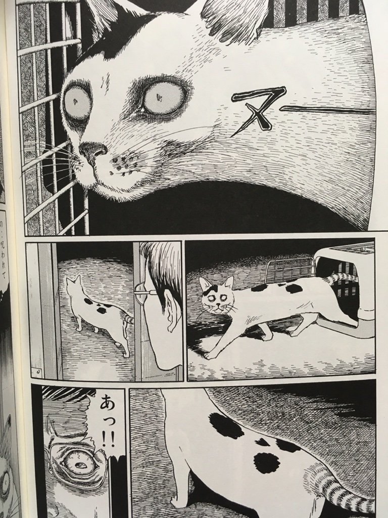 17 07 14 餃子 漫画のはなし ちょこっともりのじゅつ 17 07 14 餃子 漫画のはなし ちょこっともりのじゅつ
