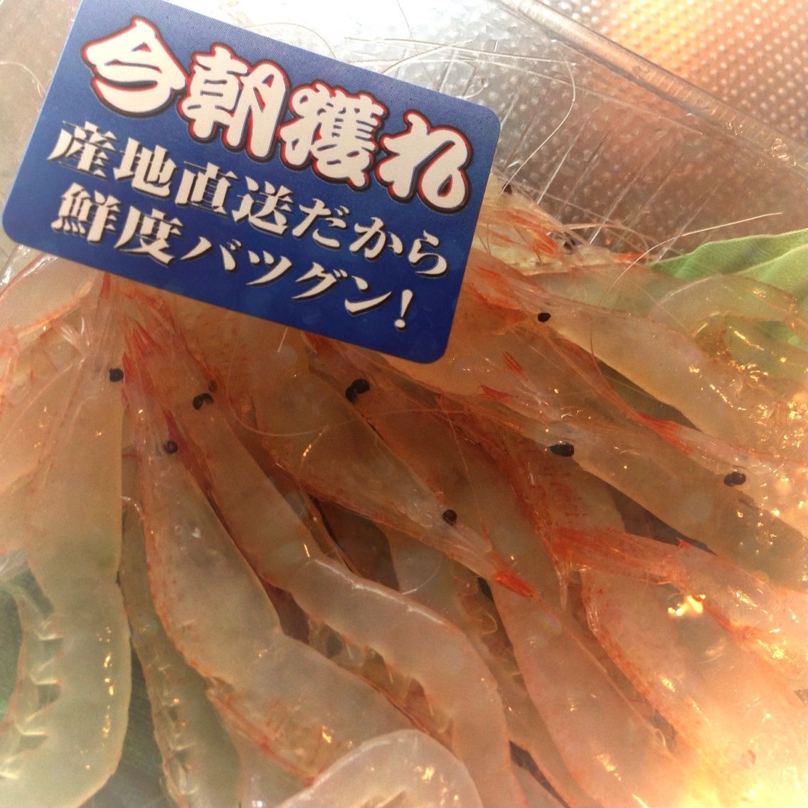 白えび漁解禁 地元特権 生のを買ってきて 一瞬でぺろり Hommy Parks