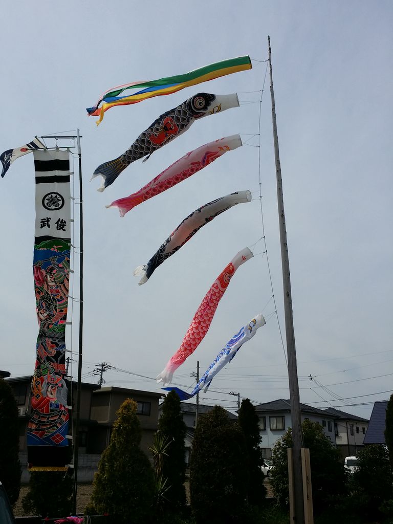 屋根より高い鯉のぼり 本藍染矢野工場 Blog 屋根より高い鯉のぼり 本藍染矢野工場 Blog