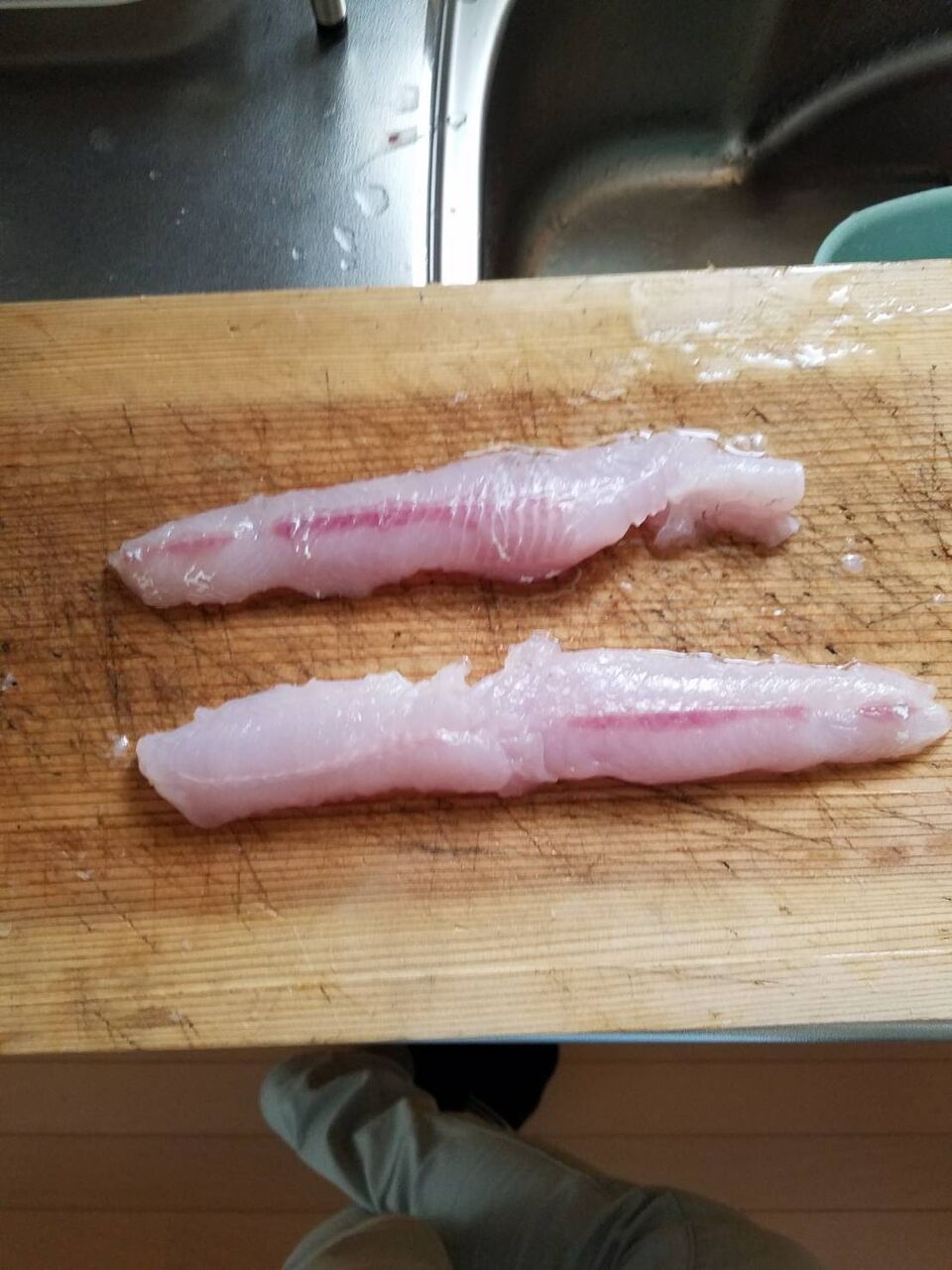 ゴンちゃんの３分以上クッキング エソ編 Aozora Fishermans