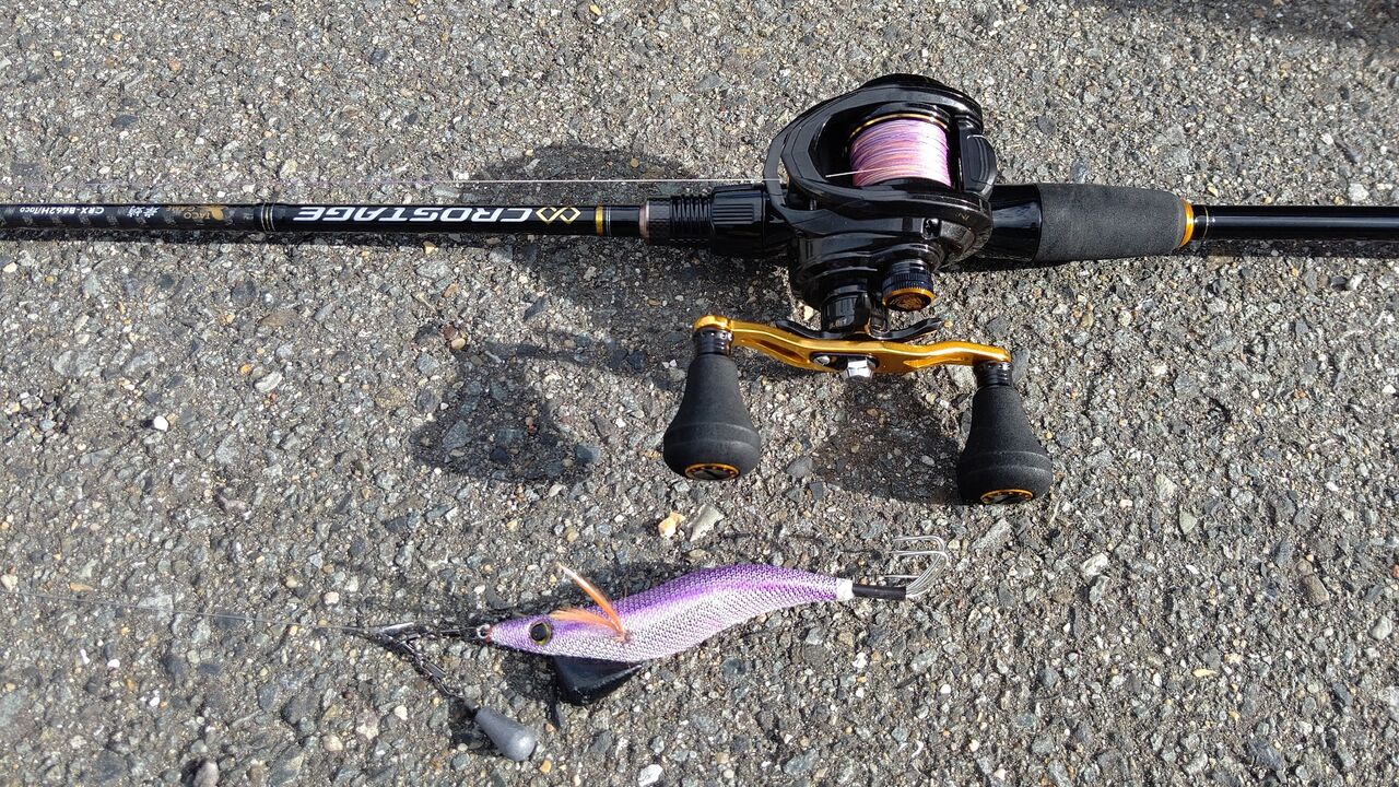 タコ釣り この時期でも岸からタコが釣れる Aozora Fishermans タコ釣り この時期でも岸からタコが釣れる Aozora Fishermans