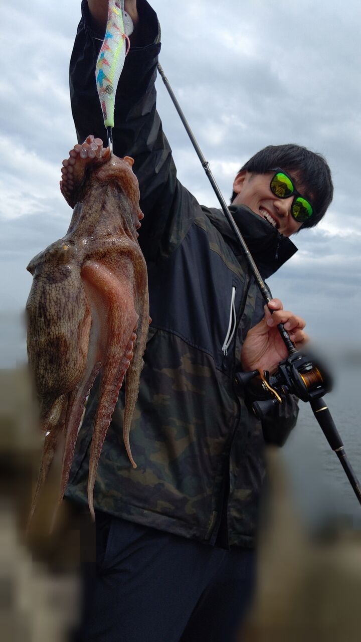 タコ釣り 初心者でも 漁港 堤防 河口 サーフ から簡単にタコが釣れる 市販のタコエギを使った ゴンちゃん流 オクトパッシング Aozora Fishermans