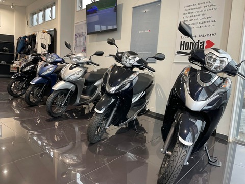 333113054_526934592907558_2005736725096228072_n