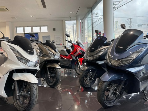 333034609_915498569897814_1753195284351157421_n