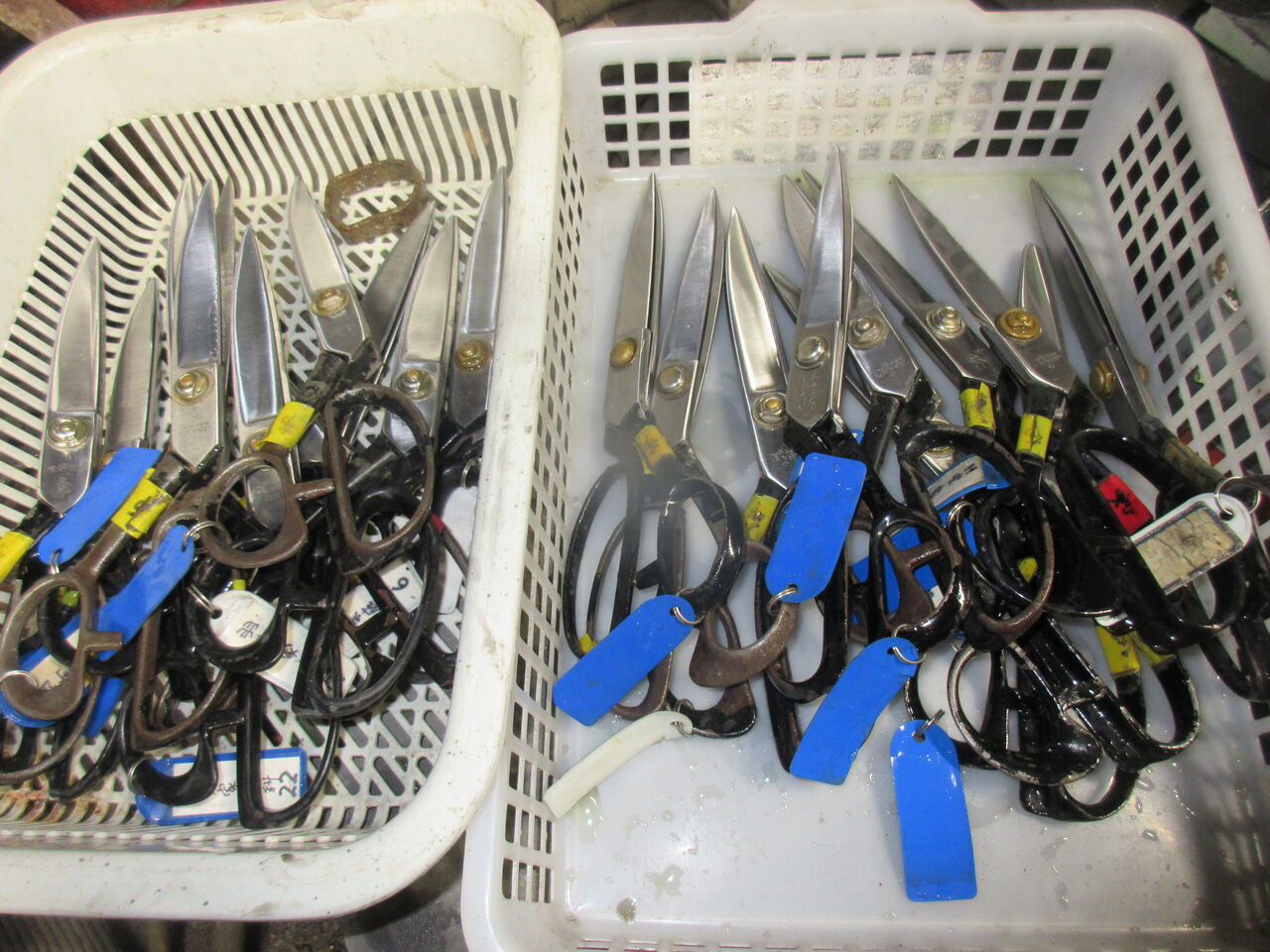 ハサミ研ぎ どっさり 羽生市本田ゆたかのブログ 刃物研ぎ 羽生市 本田刃物店