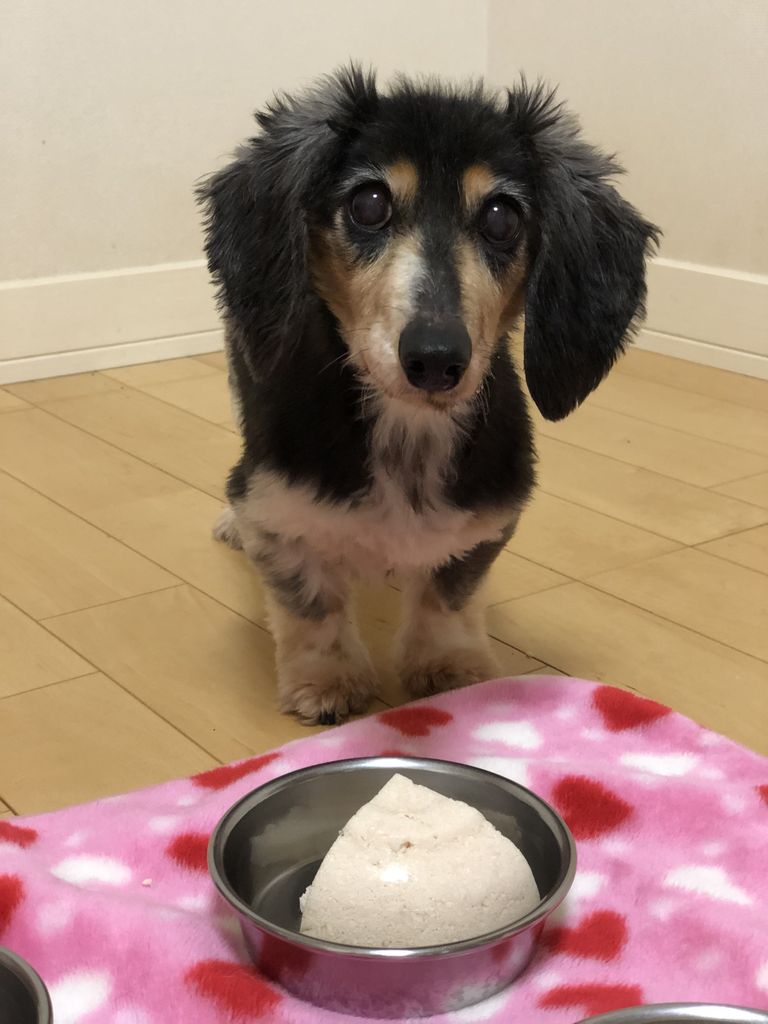 Sophie's 14th birthday!