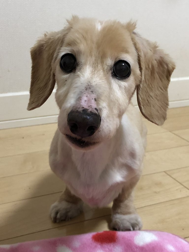 Charlize's 12th birthday