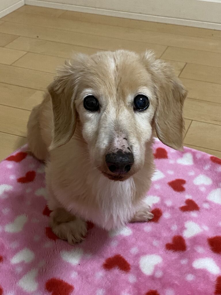 Charlize's 13th birthday!