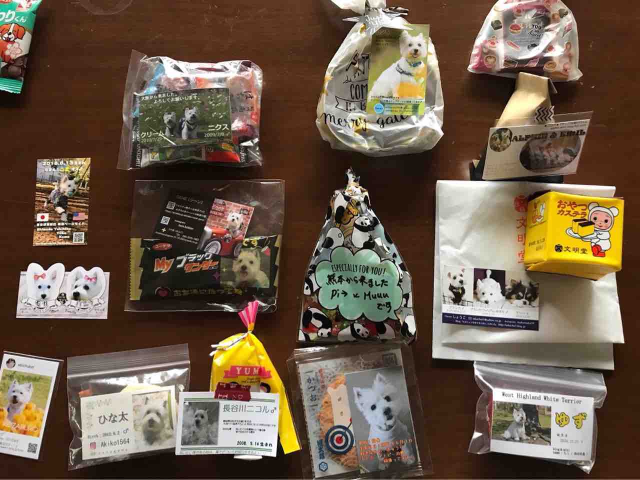 ウエスティ パーティー18 お友達編 ウエスティですが ウエスティ パーティー18 お友達編 ウエスティですが