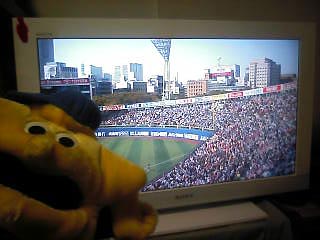 2011-04-12_���ͥ���������