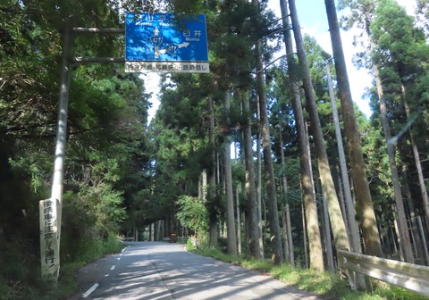 IMG_6272