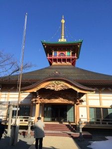 IMG_4075-225x300