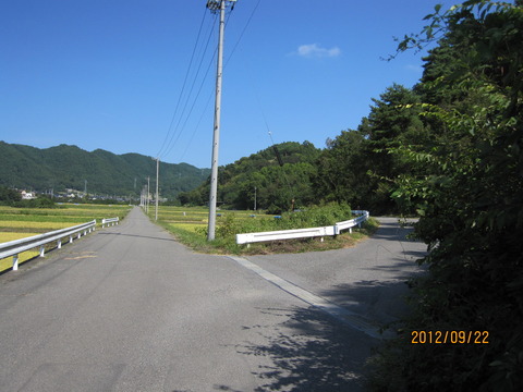 散歩道