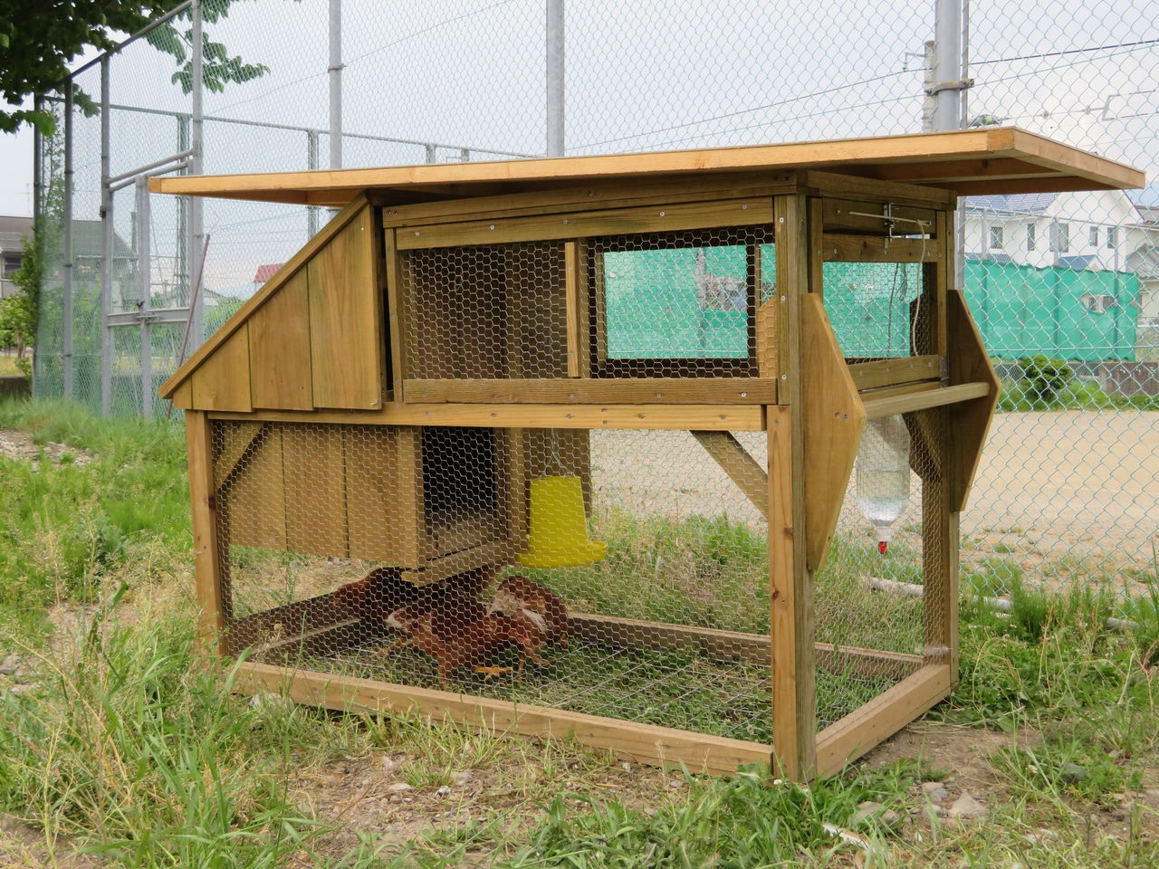 山﨑鳥類研究所 鳥肉を美味しくいただく研究所 南農にチキントラクター 山﨑鳥類研究所 鳥肉を美味しくいただく研究所 南農にチキントラクター