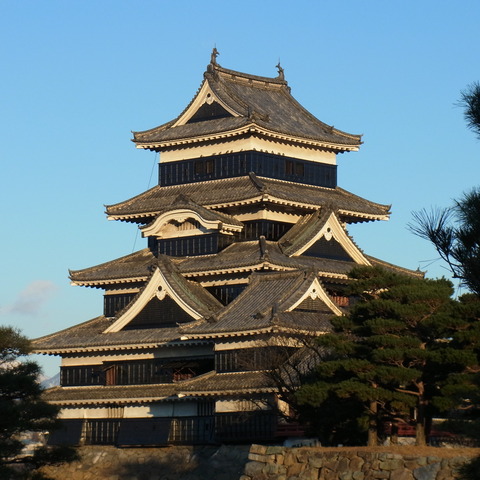 冬の松本城