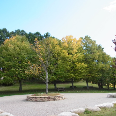 アルプス公園の秋