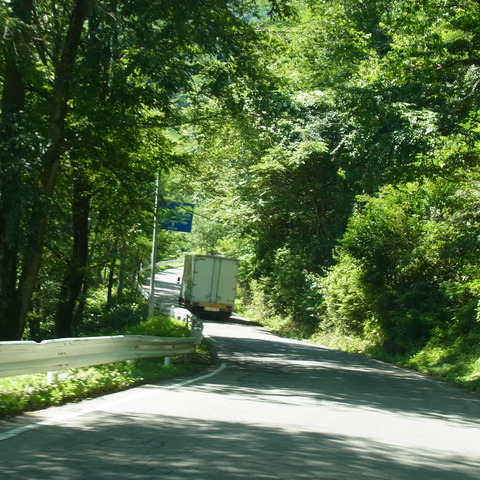 和田峠の道