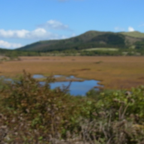 八島湿原