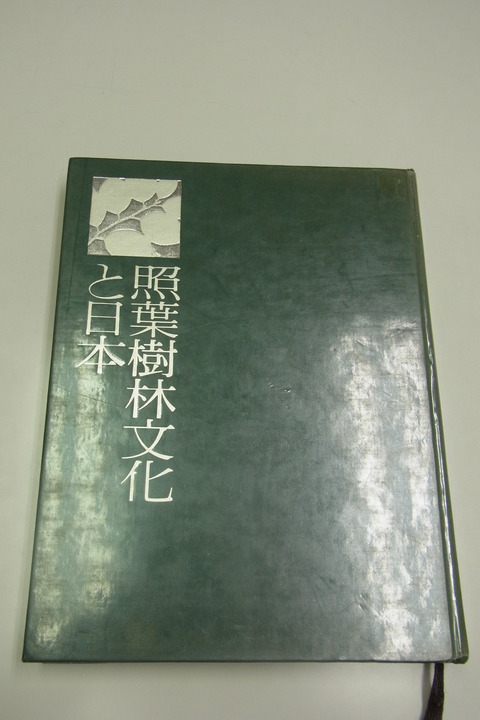 照葉樹と文化