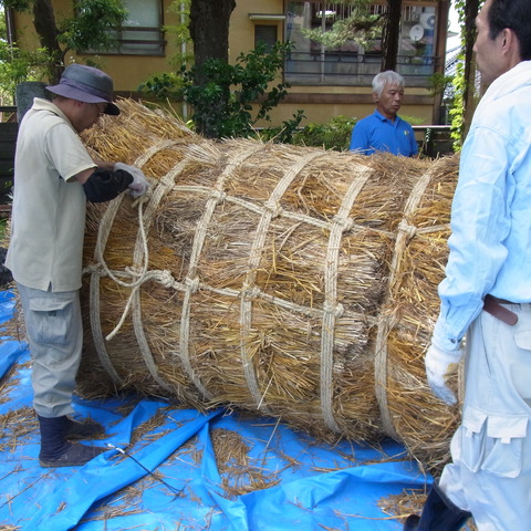 網掛けを上まで