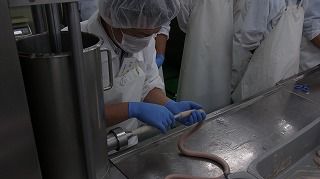 安藤さん頑張って