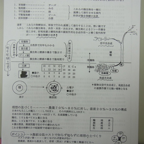 複合発酵