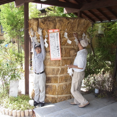 こんなに大きい