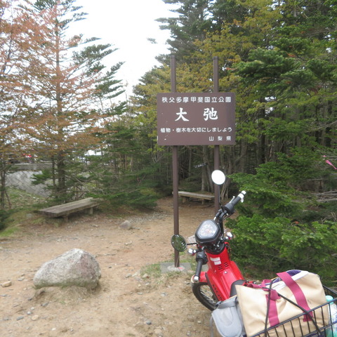 ca5d3638