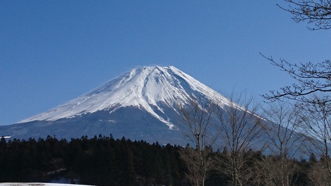 富士山