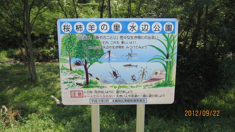 水辺公園