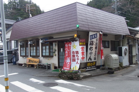 岐阜、下呂、杉の子