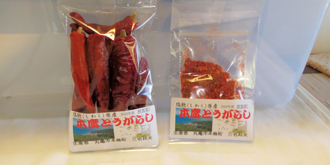 200907_DSC_0567(袋入り写真)S