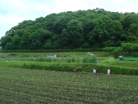 amakaioka
