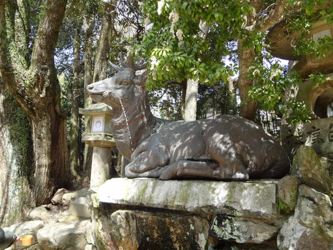 DSC00240