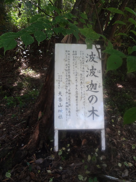 DSC02411