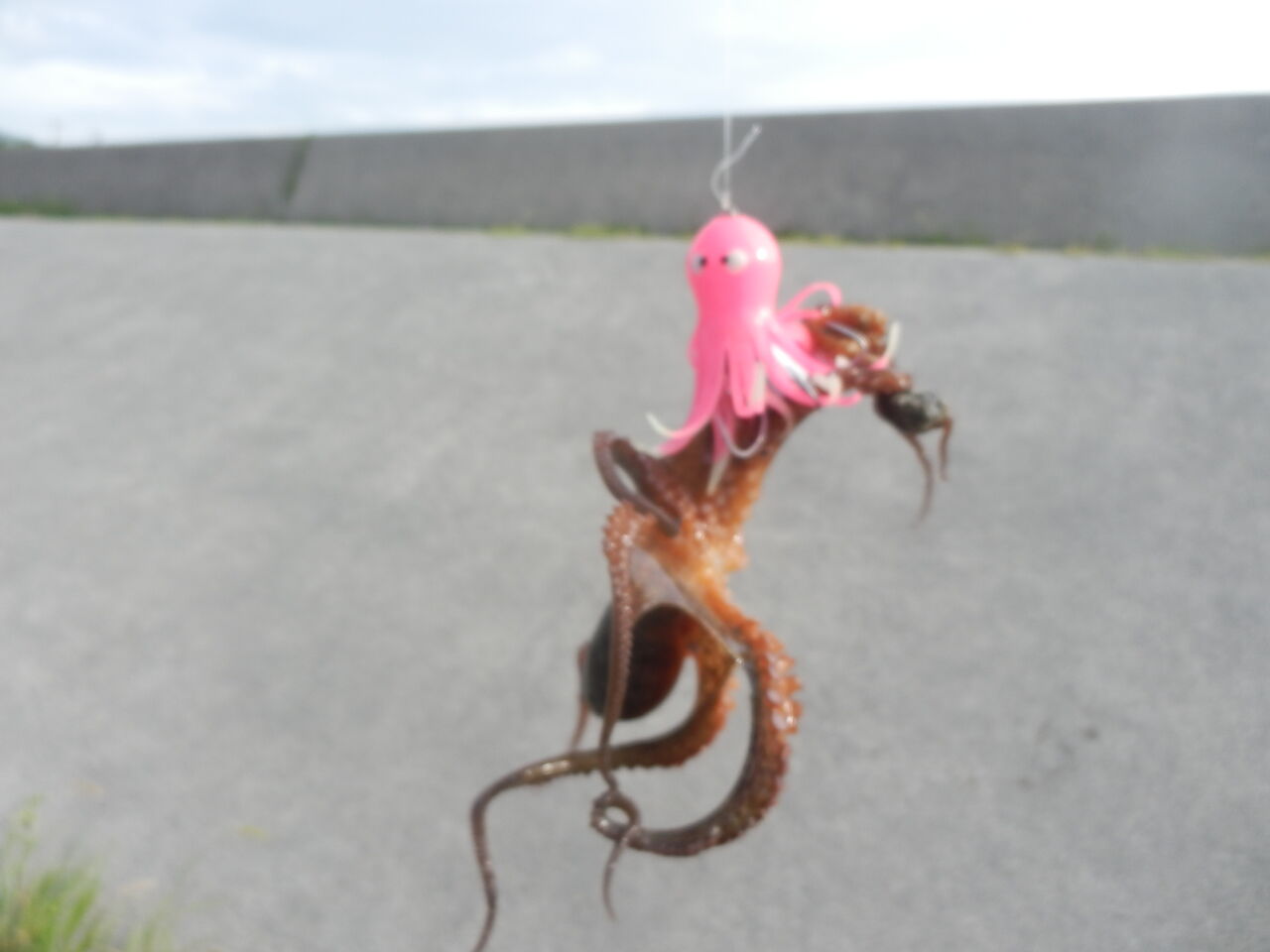 年8月9日10日 久しぶりの連休で即耐久 In淡路島 やっぱり投げ釣りが好き