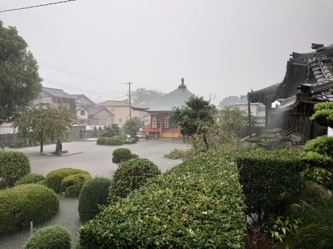 雨