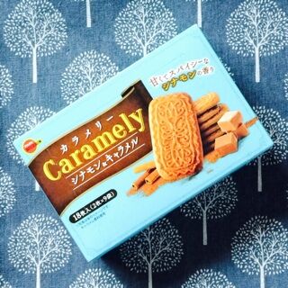 ブルボン カラメリー シナモン&キャラメル クッキー ビスケット