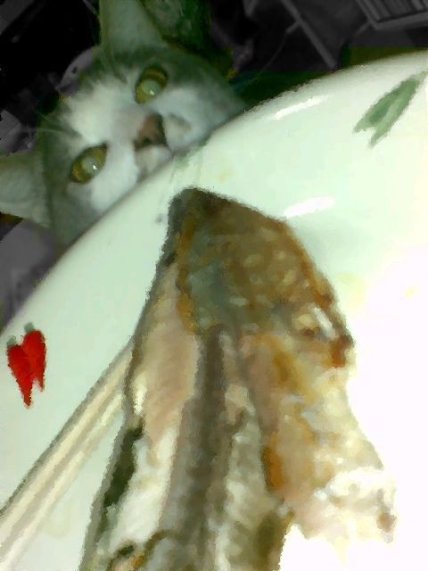 音楽】ロック名盤ジャケを猫ジャケにするKitten Covesが新作をUP、今回 