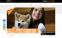 スクリーンショット 2019-01-29 16.02.13