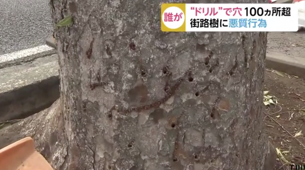 スクリーンショット 2019-05-14 19.26.44