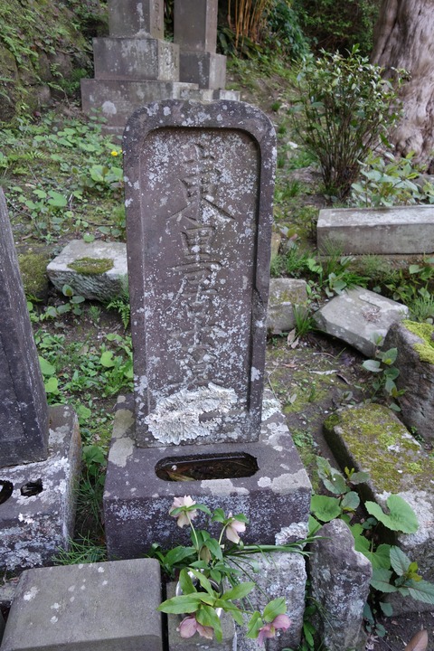 19b