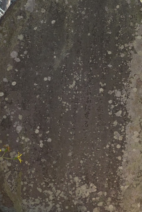 279b